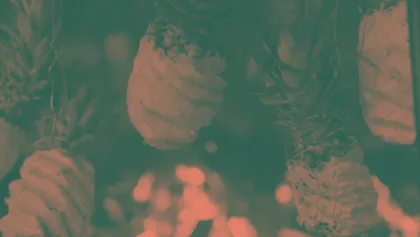 Pineapple background v2 psd