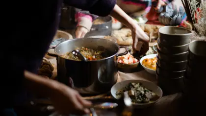 Feral Retreat 153 WR